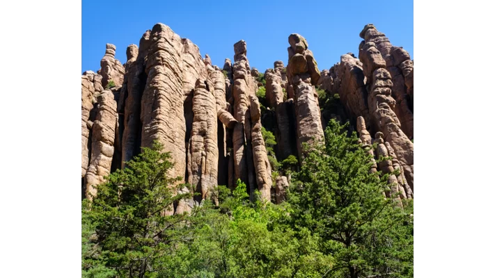 32dbea76c7c5240799aede81d216dadb-r