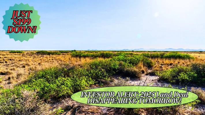 97d017e2257c3b751dfbd5e5497e6bf2