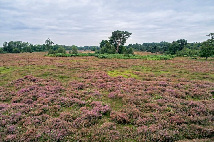 download - 2025-05-07T154507.828