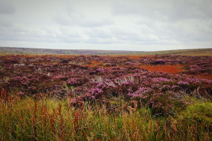 download - 2025-05-07T155423.508