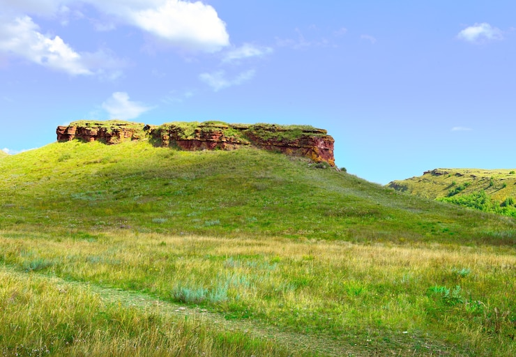 download - 2025-05-07T163234.069