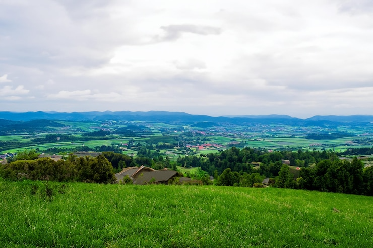 download - 2025-05-08T121657.329