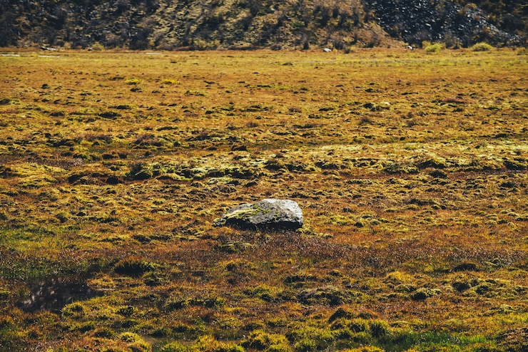 download - 2025-05-16T114550.079