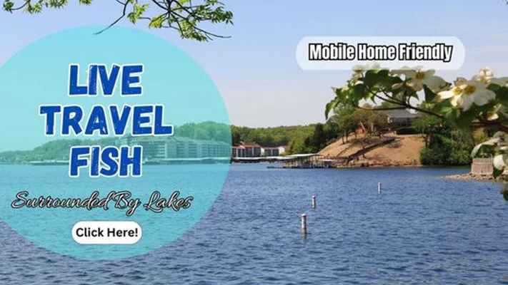 f0fd3e9034d8fc8687127da3db02cb70